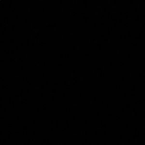 Meet your Posher, Gracey